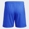 Pánské šortky adidas TASTIGO25 SHO M - foto 2