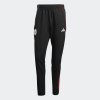 Pánské tepláky adidas AJAX PRE PNT - foto 0