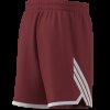 Pánské šortky adidas M EVRYDAY PRO S - foto 10