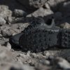 Dámské outdoorové boty adidas TERREX EASTRAIL 3 W - foto 29