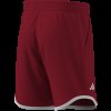 Pánské šortky adidas CLASSICS SHORT - foto 9