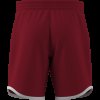 Pánské šortky adidas CLASSICS SHORT - foto 10
