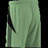 Pánské šortky adidas TIRO24 SHO - foto 14