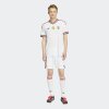 Pánský dres adidas HFF A JSY AU - foto 6