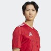 Pánský dres adidas T ICON25 JSY M - foto 8