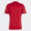 Pánský dres adidas T ICON25 JSY M - foto 2