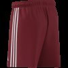 Pánské šortky adidas TASTIGO25 SHO M - foto 14