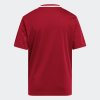 Dětský dres adidas CAMPEON25 JSY Y - foto 2