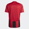 Pánský dres adidas STRIPED 24 JSY - foto 2