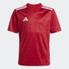 Dětský dres adidas T ICON25 JSY Y - foto 0