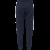 Dámské tepláky adidas TIRO26L SW PNTW - foto 11