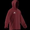 Pánská mikina adidas ENT26 AW JKT - foto 8
