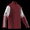 Pánská mikina adidas SQ25 TR JKT - foto 9