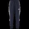Pánské tepláky adidas TIRO26L PRE PNT - foto 8