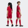 Dětské šortky adidas TIRO25 C M SHOY - foto 6