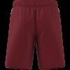 Dětské šortky adidas TASTIGO25 SHO Y - foto 12