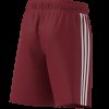 Dětské šortky adidas TASTIGO25 SHO Y - foto 11