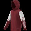 Dětská mikina adidas SQ25 HOOD Y - foto 16