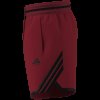 Pánské šortky adidas CRAZYLITE SHORT - foto 14