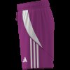 Dětské šortky adidas TIRO24 SHO Y - foto 14