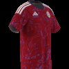 Pánský dres adidas FCRF H JSY - foto 8