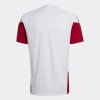 Pánský dres adidas DFB TR JSY - foto 1