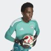 Pánský dres adidas DFB H GK JSY AU - foto 6
