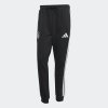 Pánské tepláky adidas DFB DNA FL PNT - foto 0