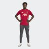 Pánské tepláky adidas LFC TR PNT - foto 4