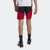 Dětské šortky adidas DFB TR SHO - foto 2
