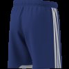 Pánské šortky adidas TIRO26 C M SHOM - foto 10