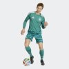 Pánské šortky adidas DFB H GK SHO - foto 3