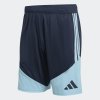 Pánské šortky adidas AFA TR SHO - foto 0