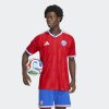 Pánský dres adidas ANFP H JSY AU - foto 2