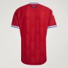 Pánský dres adidas ANFP H JSY AU - foto 11