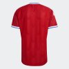 Pánský dres adidas ANFP H JSY AU - foto 1
