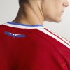 Pánský dres adidas ANFP H JSY AU - foto 14