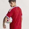 Pánský dres adidas ANFP H JSY AU - foto 8