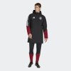 Pánská bunda adidas DFB PARKA - foto 4