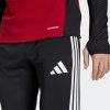 Pánské tepláky adidas DFB TR PNT - foto 5