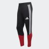 Pánské tepláky adidas DFB TR PNT - foto 0
