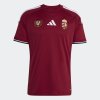 Pánský dres adidas HFF H JSY - foto 0