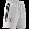 Pánské šortky adidas LY HOT WV SH - foto 8