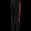 Pánské tepláky adidas TIRO26L PNTR - foto 10