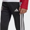 Dětské tepláky adidas DFB TR PNTY - foto 4