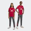 Dětské tepláky adidas LFC TR PNT Y - foto 7