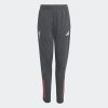 Dětské tepláky adidas LFC TR PNT Y - foto 0