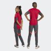 Dětské tepláky adidas LFC TR PNT Y - foto 6
