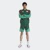 Pánské šortky adidas FAF DT SHO - foto 4