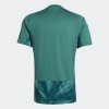 Pánský dres adidas DFB H GK JSY - foto 1
